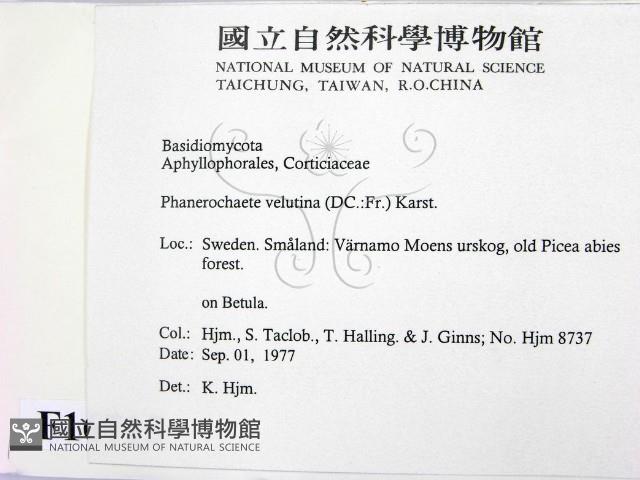 登錄號:F0016715藏品圖，第2張
