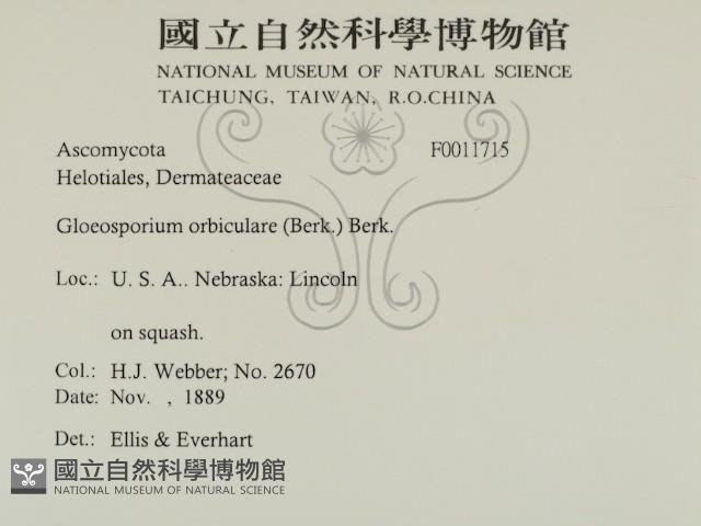 登錄號:F0011715藏品圖，第2張
