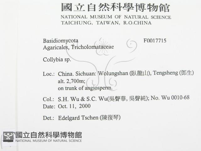 登錄號:F0017715藏品圖，第2張