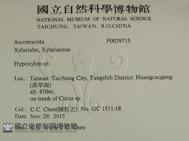 登錄號:F0029715藏品圖，第2張