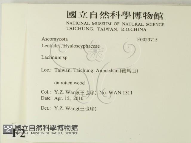 登錄號:F0023715藏品圖，第2張