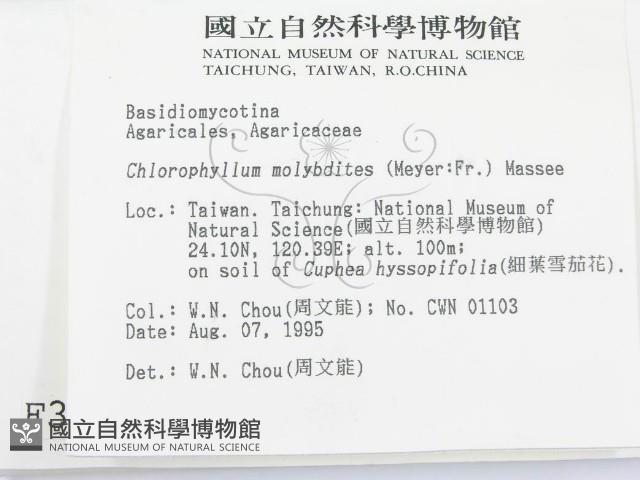 登錄號:F0003715藏品圖，第2張