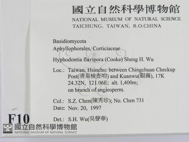 登錄號:F0010515藏品圖，第2張