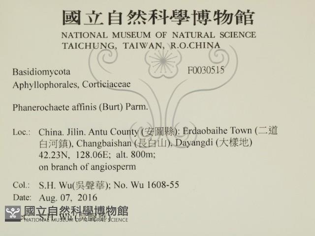 登錄號:F0030515藏品圖，第2張