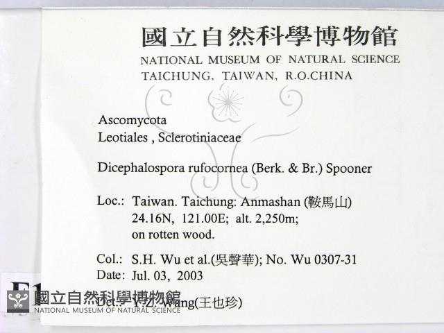 登錄號:F0016515藏品圖，第2張