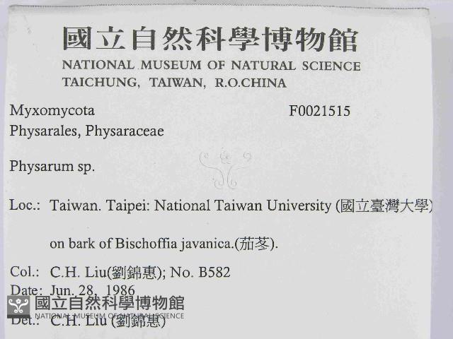 登錄號:F0021515藏品圖，第2張