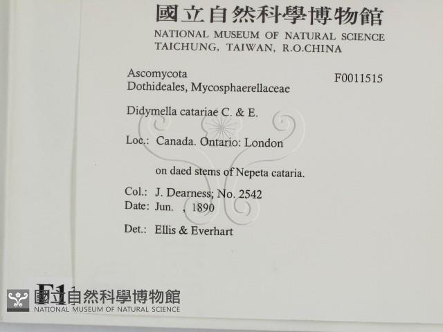 登錄號:F0011515藏品圖，第2張