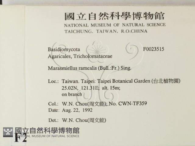 登錄號:F0023515藏品圖，第2張