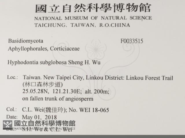 登錄號:F0033515藏品圖，第2張