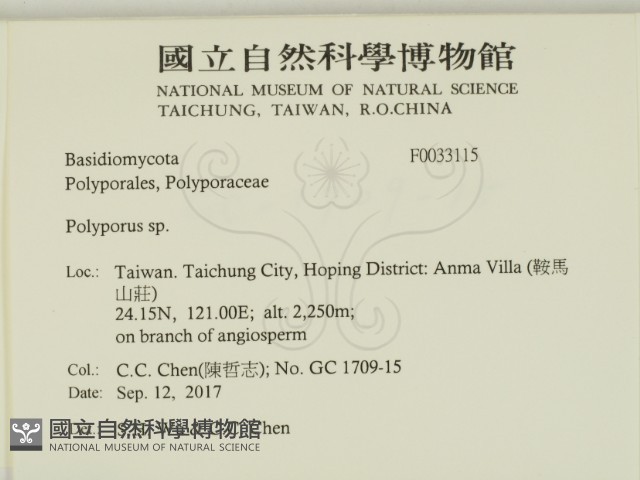 多孔菌屬藏品圖，第2張