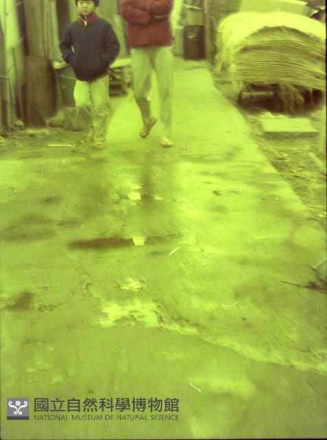 1950至2006年臺灣常民生活藏品圖，第1張