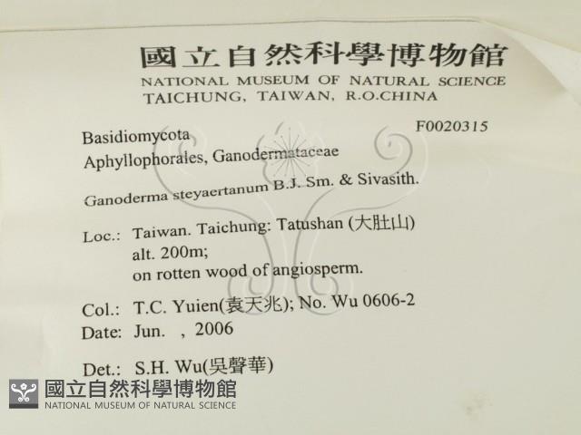 登錄號:F0020315藏品圖，第2張