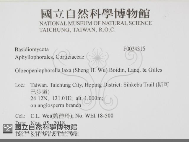 登錄號:F0034315藏品圖，第2張