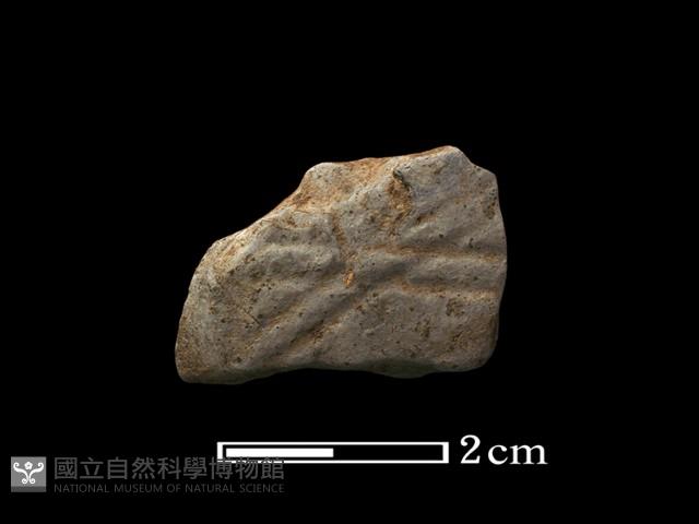 陶片藏品圖，第1張