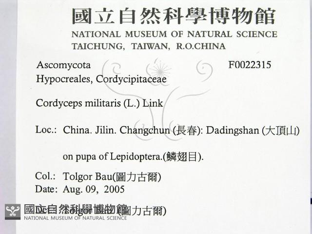 登錄號:F0022315藏品圖，第2張