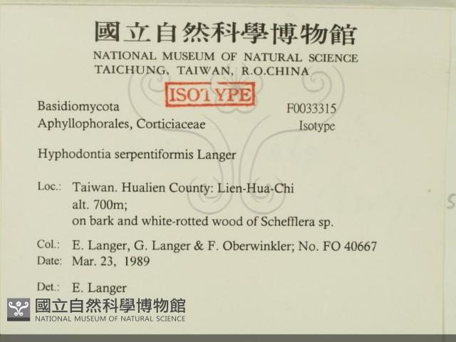 登錄號:F0033315藏品圖，第2張