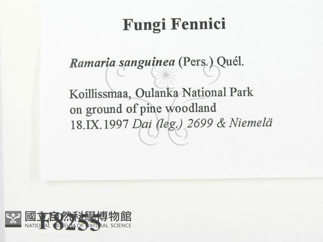 登錄號:F0008255藏品圖，第2張