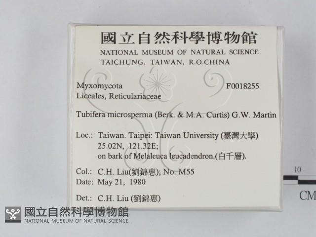 登錄號:F0018255藏品圖，第2張