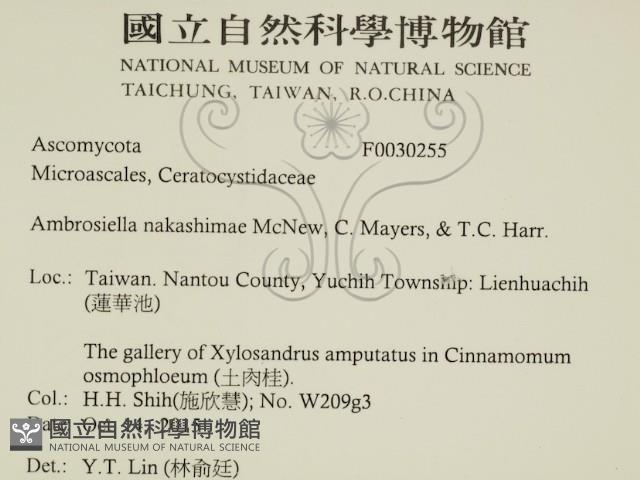 登錄號:F0030255藏品圖，第2張