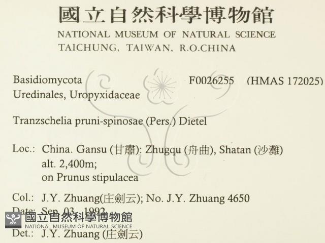 登錄號:F0026255藏品圖，第2張