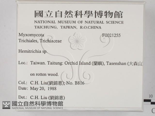 登錄號:F0021255藏品圖，第2張
