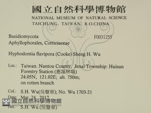 登錄號:F0031255藏品圖，第2張