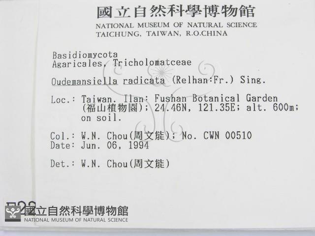 登錄號:F0002255藏品圖，第2張