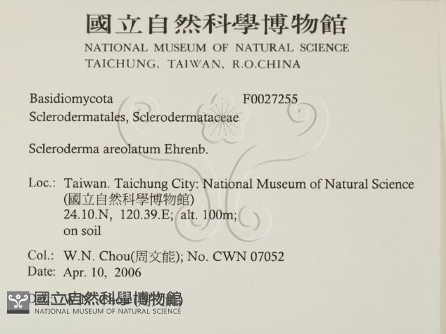 登錄號:F0027255藏品圖，第2張