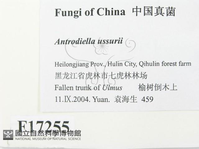 登錄號:F0017255藏品圖，第2張