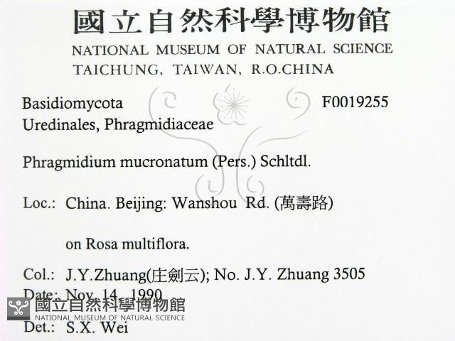 登錄號:F0019255藏品圖，第2張