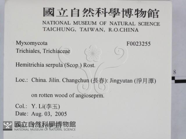 登錄號:F0023255藏品圖，第2張