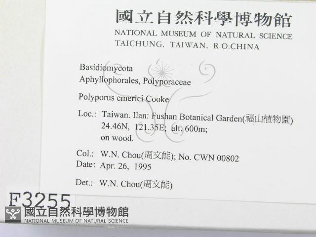 登錄號:F0003255藏品圖，第2張
