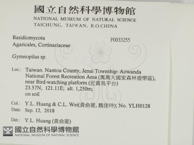 登錄號:F0033255藏品圖，第2張