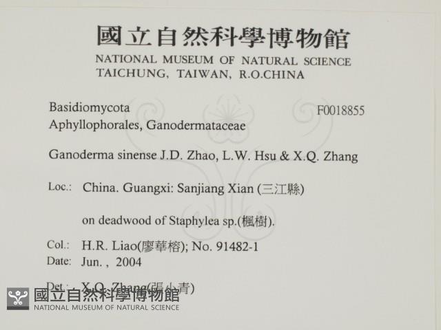 登錄號:F0018855藏品圖，第2張