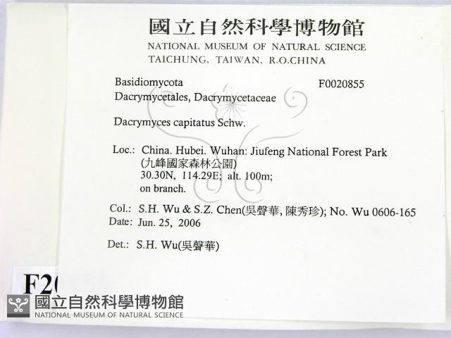 登錄號:F0020855藏品圖，第2張