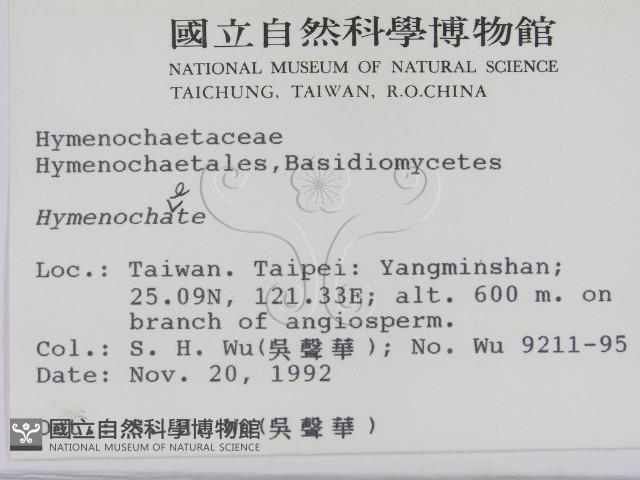 刺革菌屬藏品圖，第2張