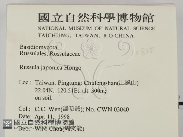 登錄號:F0010855藏品圖，第2張