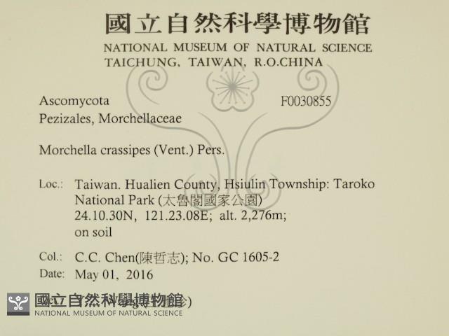 登錄號:F0030855藏品圖，第2張