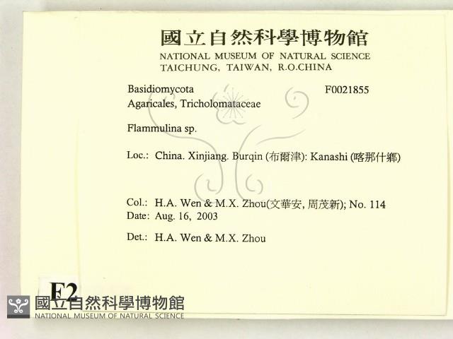 登錄號:F0021855藏品圖，第2張