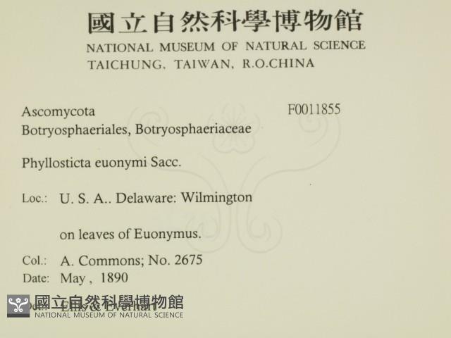 登錄號:F0011855藏品圖，第2張