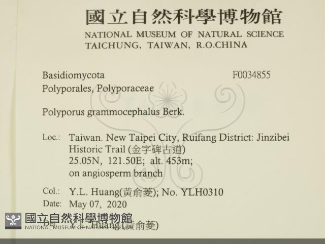 登錄號:F0034855藏品圖，第2張