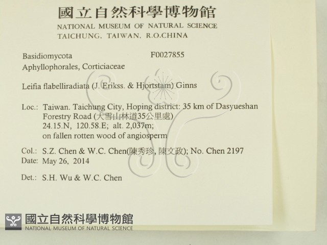 登錄號:F0027855藏品圖，第2張