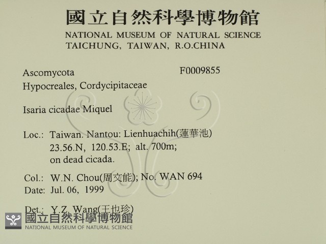 登錄號:F0009855藏品圖，第2張