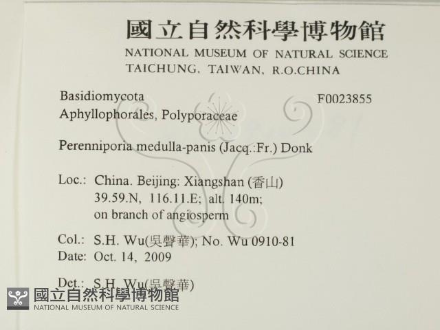 登錄號:F0023855藏品圖，第2張