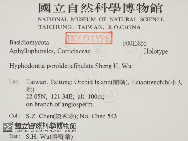 登錄號:F0013855藏品圖，第2張