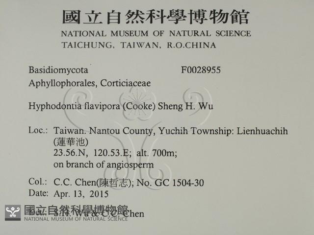 登錄號:F0028955藏品圖，第2張