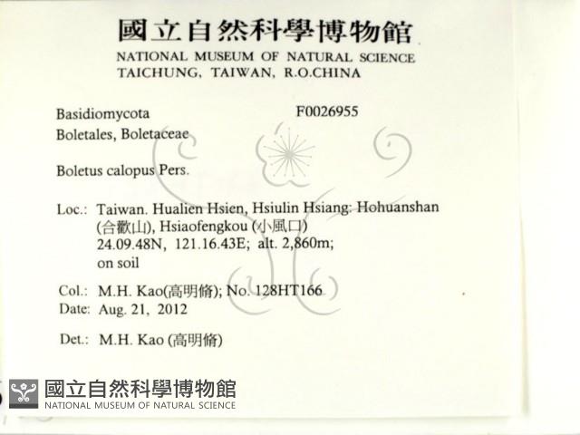 登錄號:F0026955藏品圖，第2張