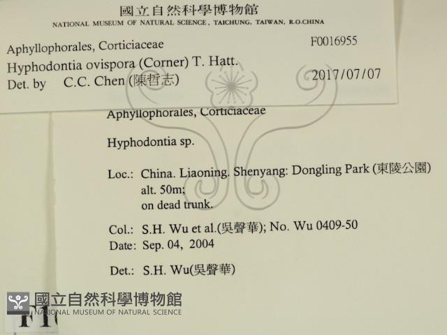 登錄號:F0016955藏品圖，第2張