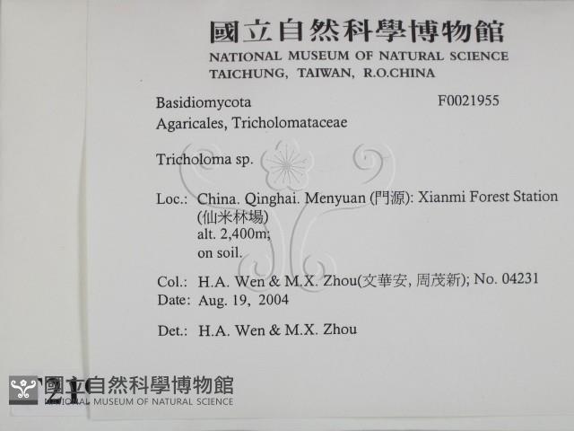 登錄號:F0021955藏品圖，第2張