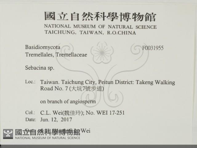 登錄號:F0031955藏品圖，第2張